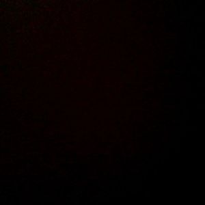 Meet your Posher, Carl